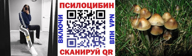 Псилоцибиновые грибы GOLDEN TEACHER  Купить  Боровск 